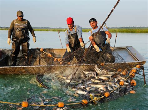 Get the whole picture of aquaculture, only with.